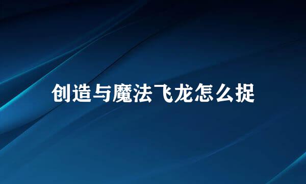 创造与魔法飞龙怎么捉
