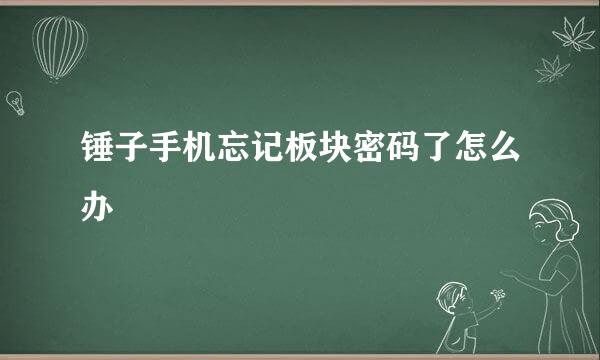 锤子手机忘记板块密码了怎么办