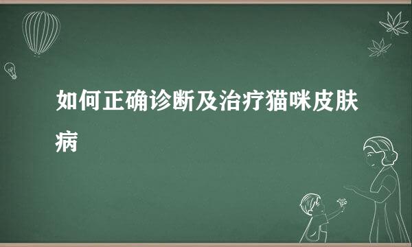 如何正确诊断及治疗猫咪皮肤病