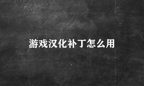 游戏汉化补丁怎么用