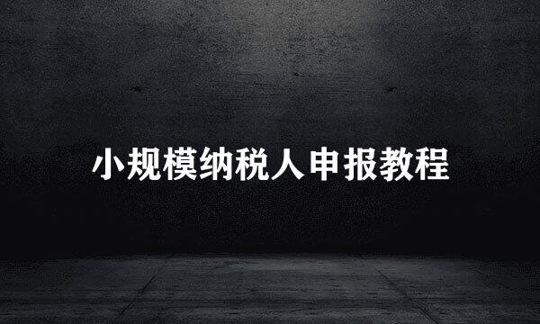 小规模纳税人申报教程