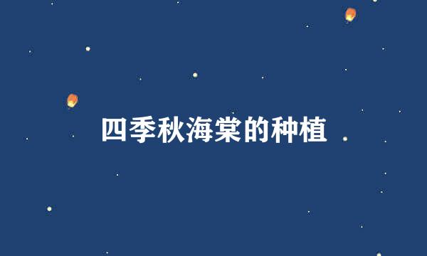 四季秋海棠的种植