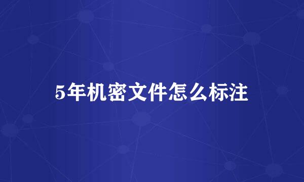 5年机密文件怎么标注