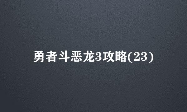 勇者斗恶龙3攻略(23)