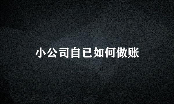 小公司自已如何做账