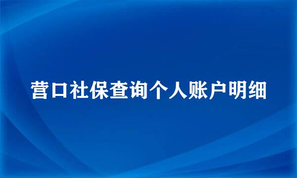 营口社保查询个人账户明细