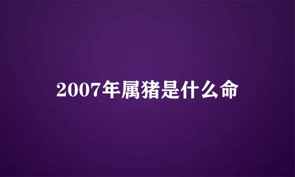 2007年属猪是什么命