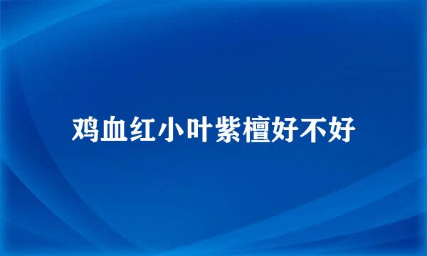 鸡血红小叶紫檀好不好