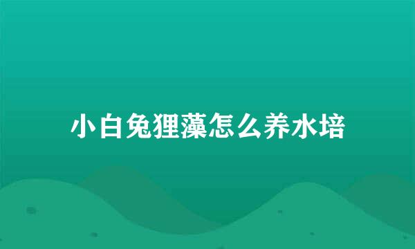小白兔狸藻怎么养水培