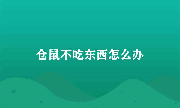 仓鼠不吃东西怎么办