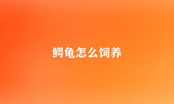 鳄龟怎么饲养
