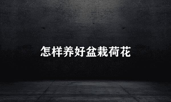 怎样养好盆栽荷花