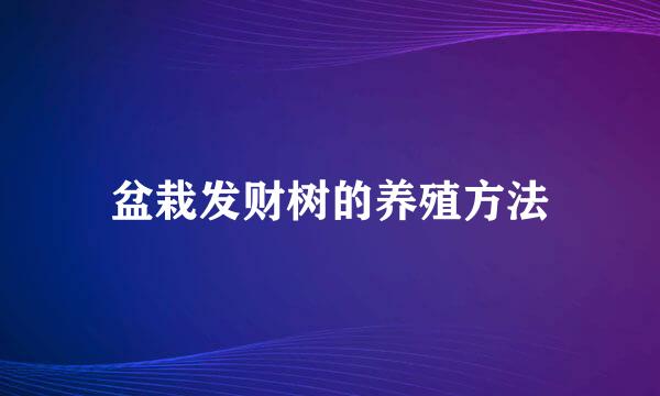 盆栽发财树的养殖方法