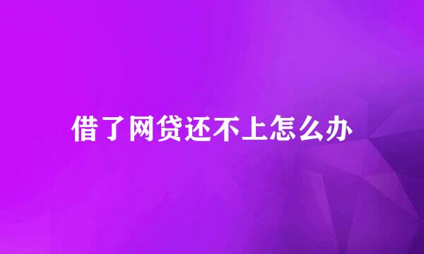 借了网贷还不上怎么办