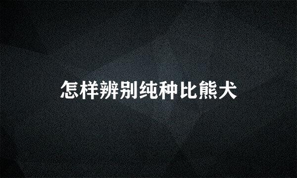 怎样辨别纯种比熊犬