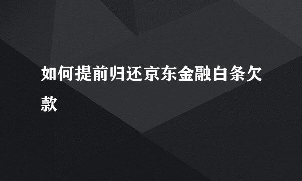 如何提前归还京东金融白条欠款