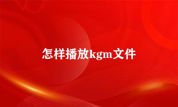 怎样播放kgm文件