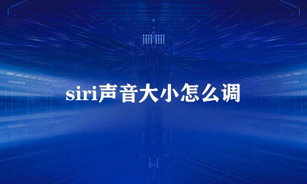 siri声音大小怎么调