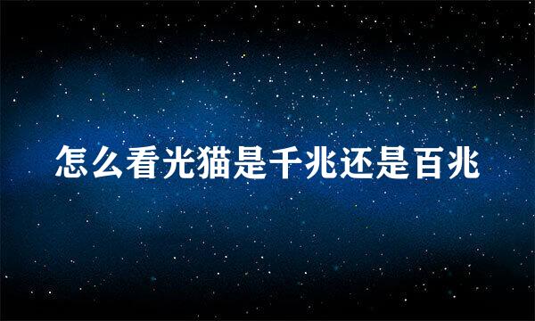 怎么看光猫是千兆还是百兆
