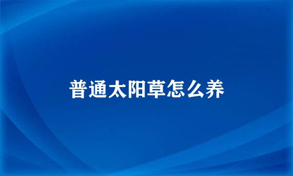 普通太阳草怎么养