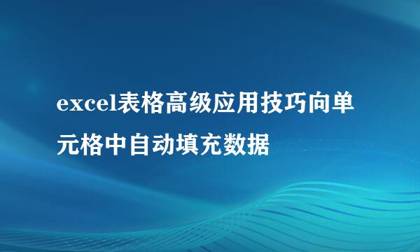 excel表格高级应用技巧向单元格中自动填充数据