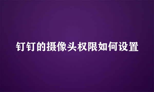 钉钉的摄像头权限如何设置