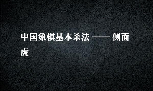 中国象棋基本杀法 —— 侧面虎