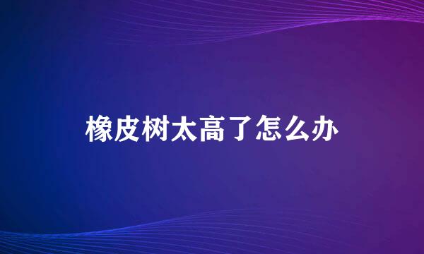 橡皮树太高了怎么办