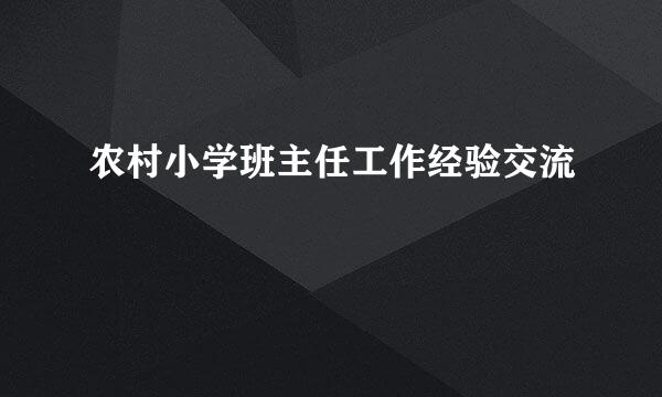 农村小学班主任工作经验交流