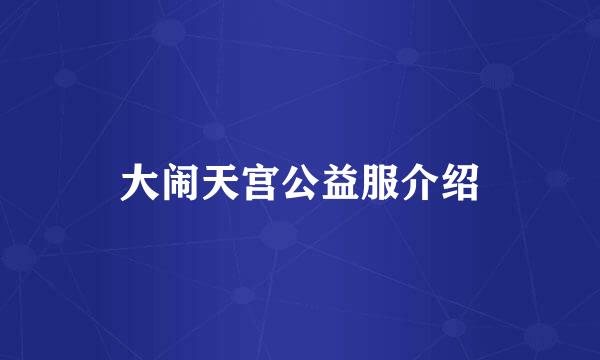 大闹天宫公益服介绍
