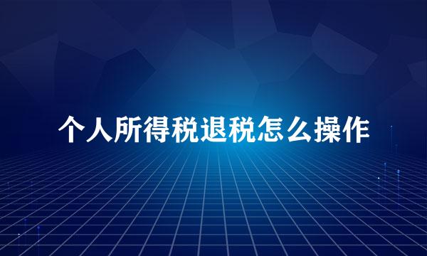 个人所得税退税怎么操作