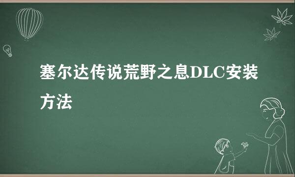 塞尔达传说荒野之息DLC安装方法