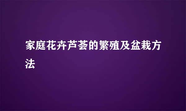 家庭花卉芦荟的繁殖及盆栽方法