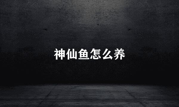 神仙鱼怎么养