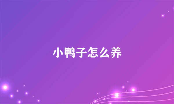 小鸭子怎么养