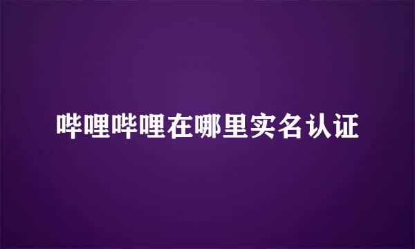 哔哩哔哩在哪里实名认证