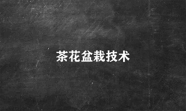 茶花盆栽技术