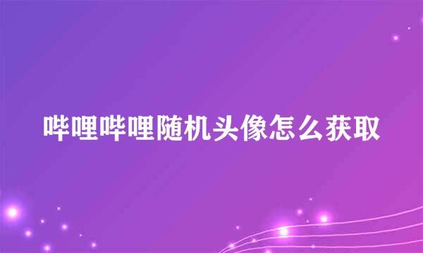 哔哩哔哩随机头像怎么获取