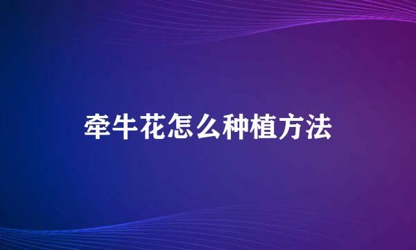 牵牛花怎么种植方法