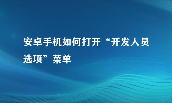 安卓手机如何打开“开发人员选项”菜单