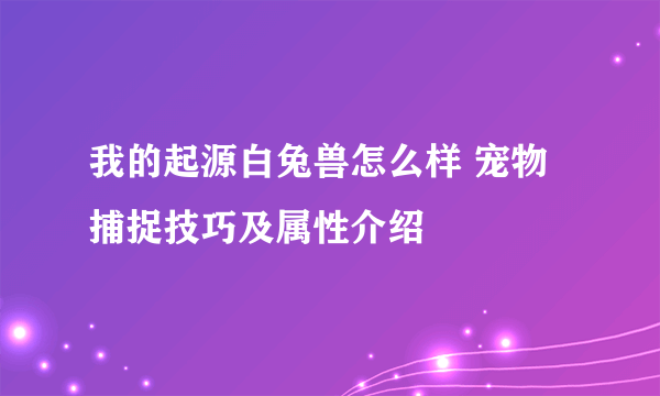 我的起源白兔兽怎么样 宠物捕捉技巧及属性介绍