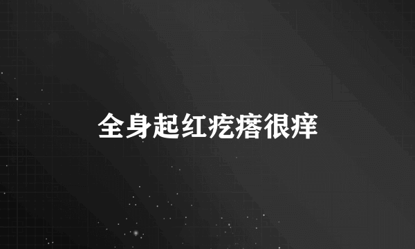 全身起红疙瘩很痒