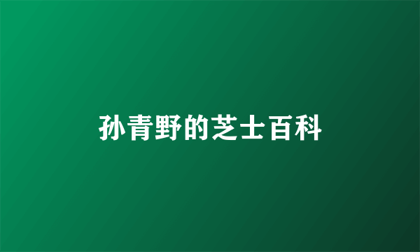 孙青野的芝士百科