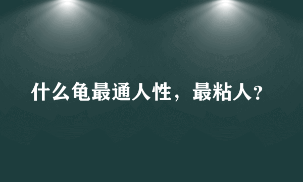 什么龟最通人性，最粘人？