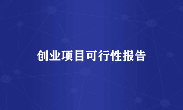 创业项目可行性报告