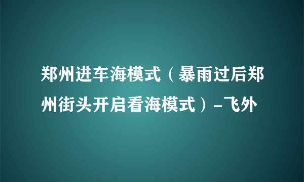 郑州进车海模式（暴雨过后郑州街头开启看海模式）-飞外