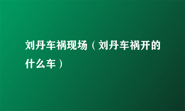 刘丹车祸现场（刘丹车祸开的什么车）