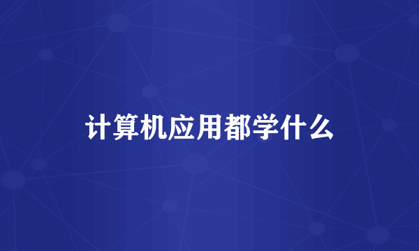 计算机应用都学什么