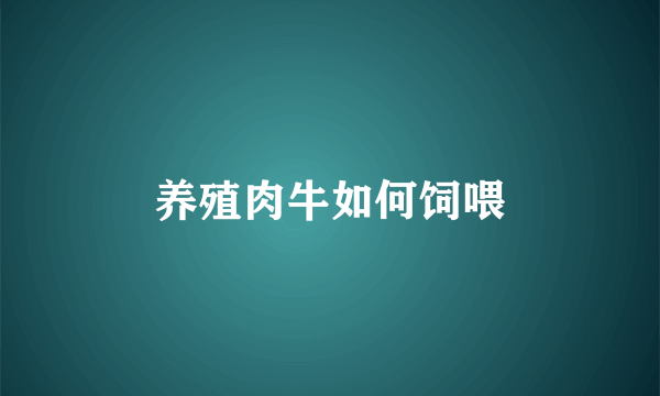 养殖肉牛如何饲喂
