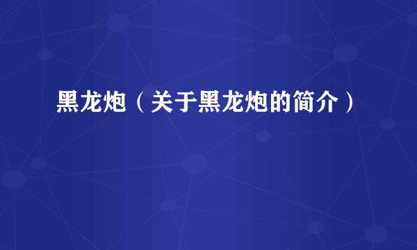 黑龙炮（关于黑龙炮的简介）